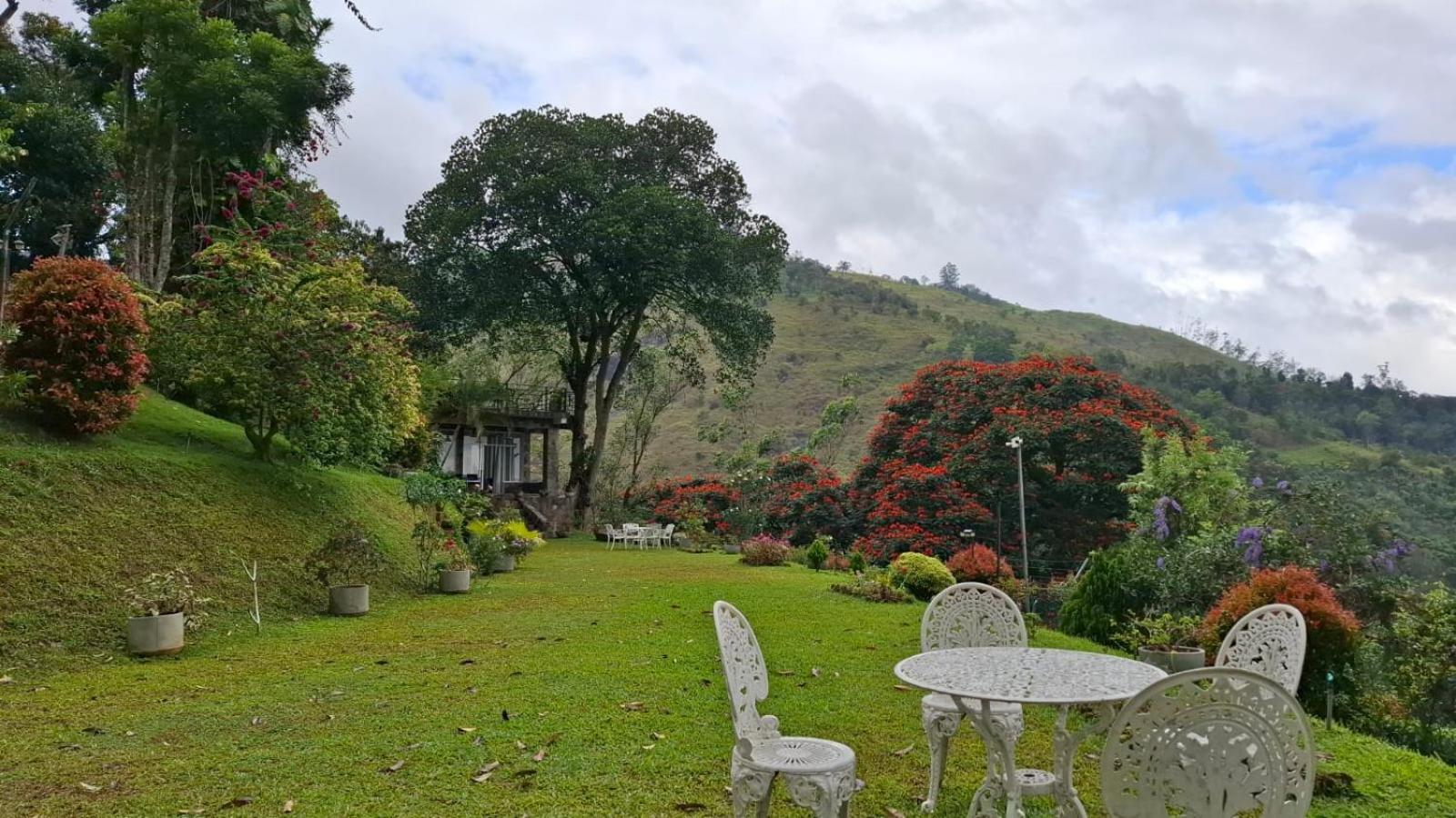 Sithara Estate Bungalow Ella Luaran gambar