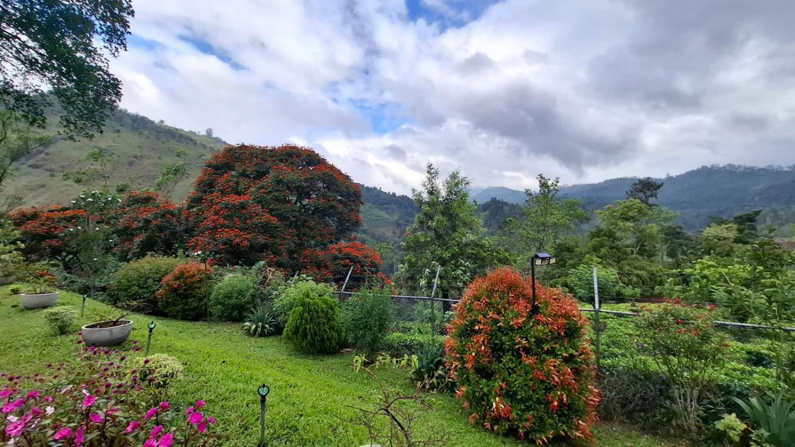 Sithara Estate Bungalow Ella Luaran gambar