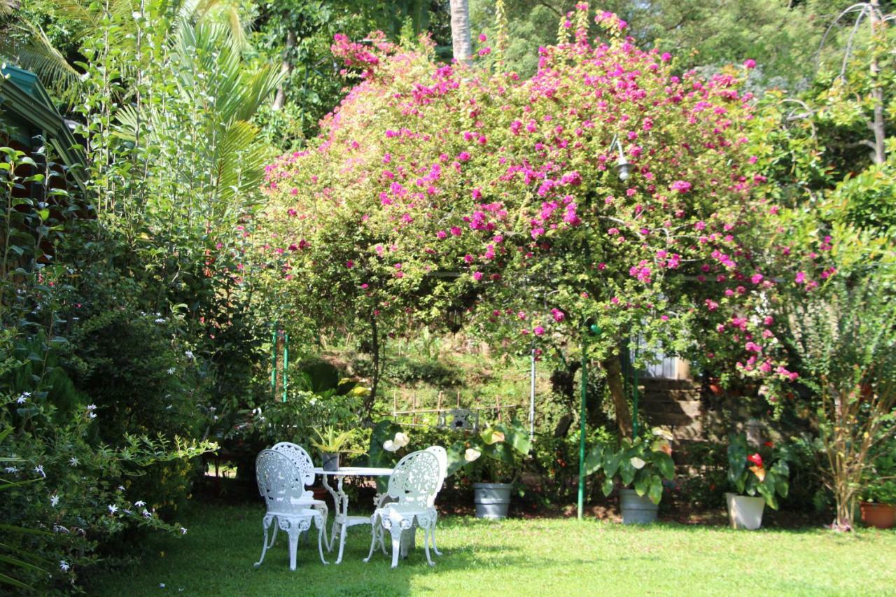 Sithara Estate Bungalow Ella Luaran gambar